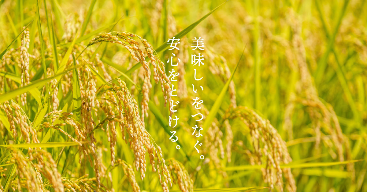 財源 4個入